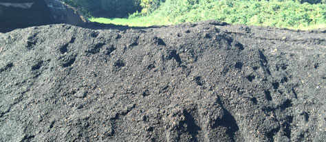 High Budget Topsoil